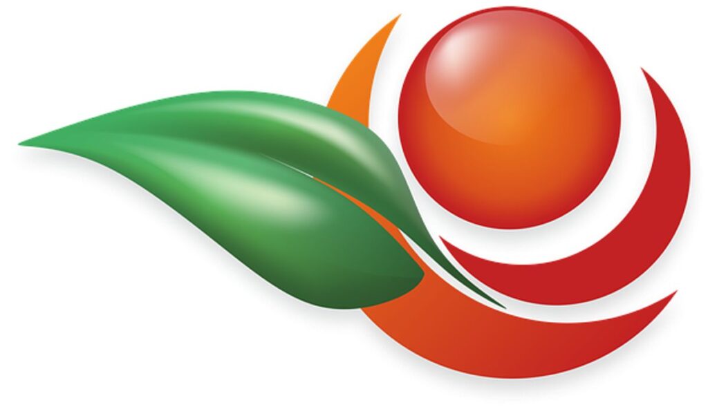 Logo designer New Orleans