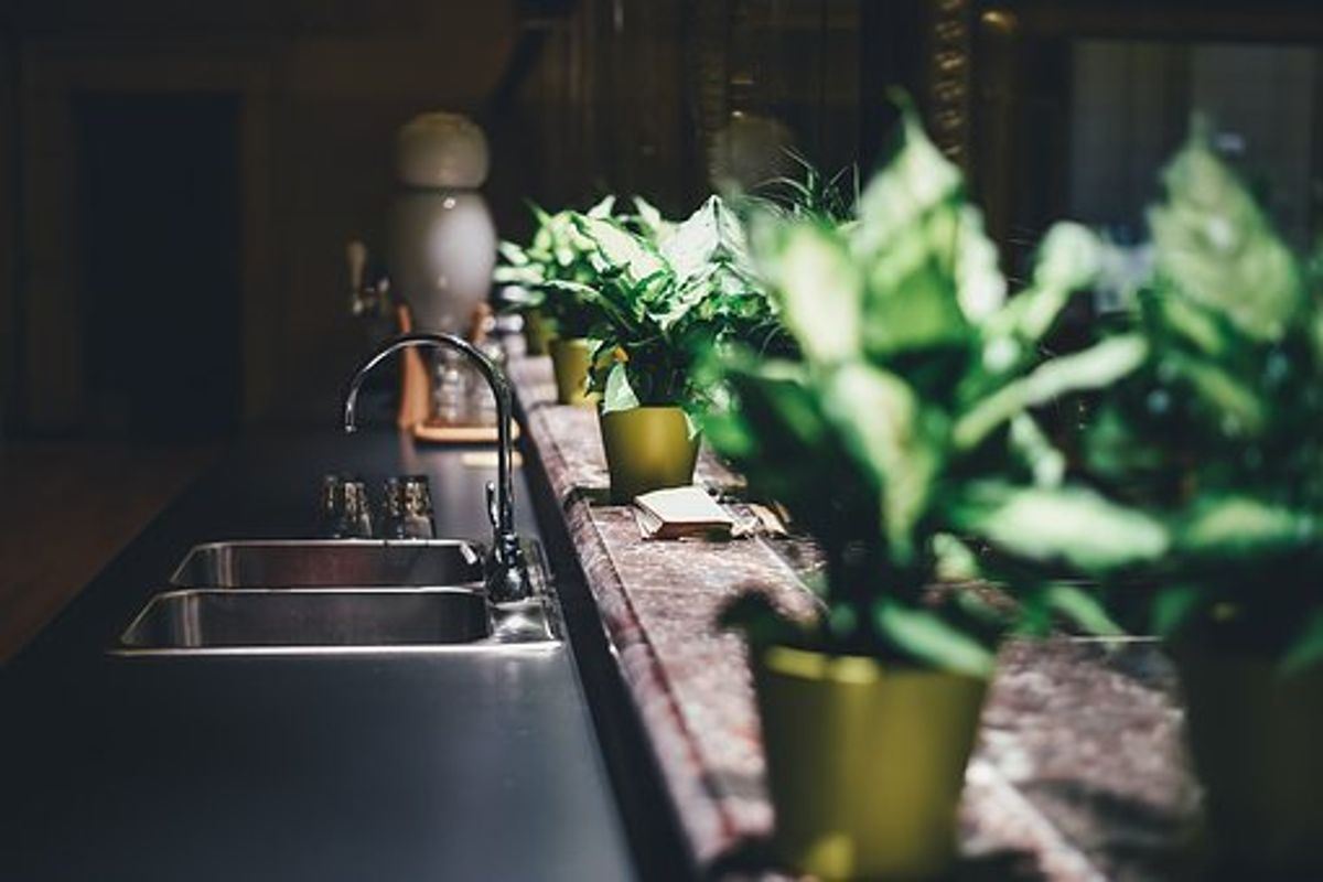 kitchen faucet with matching bar faucet