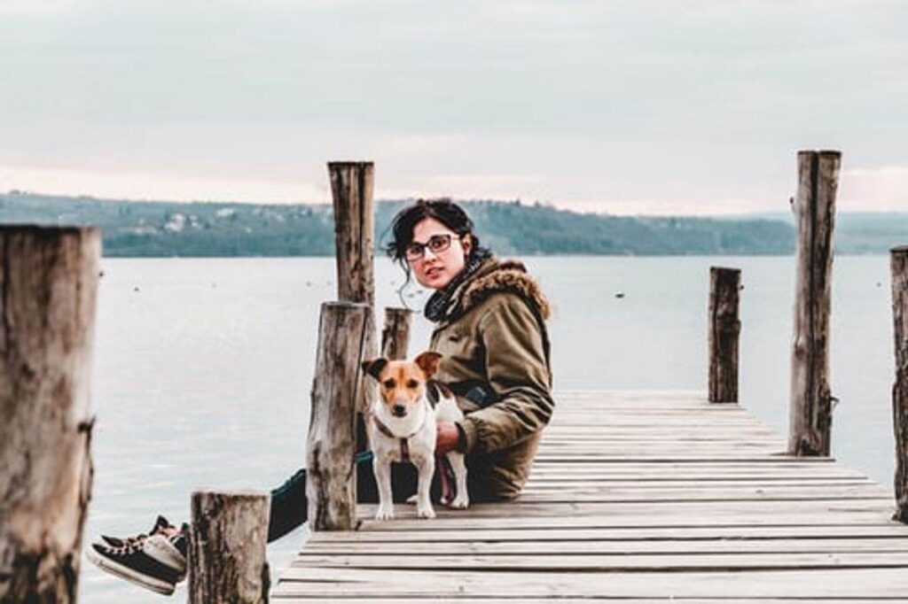 Best pet-friendly accommodation on sunshine coast