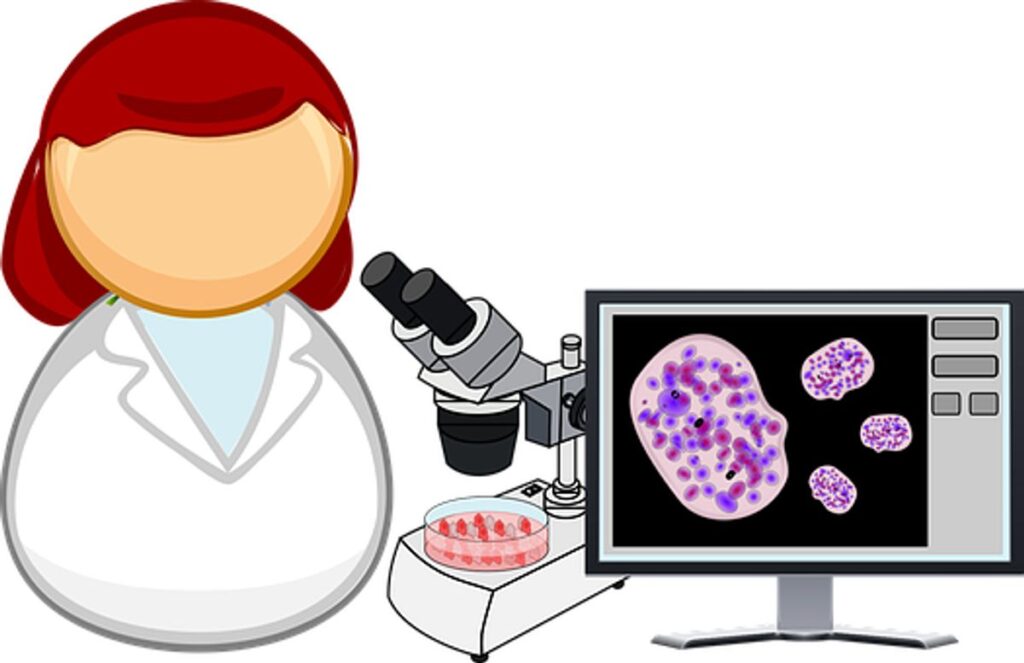 medical laboratory technician training in Bay Area