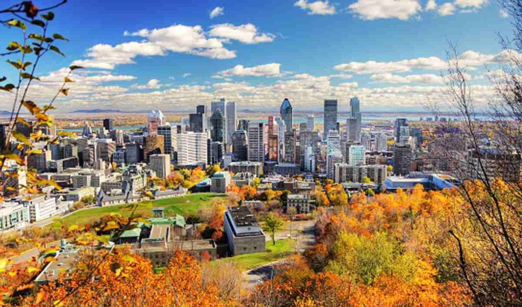 Canada Immigration Consultants
