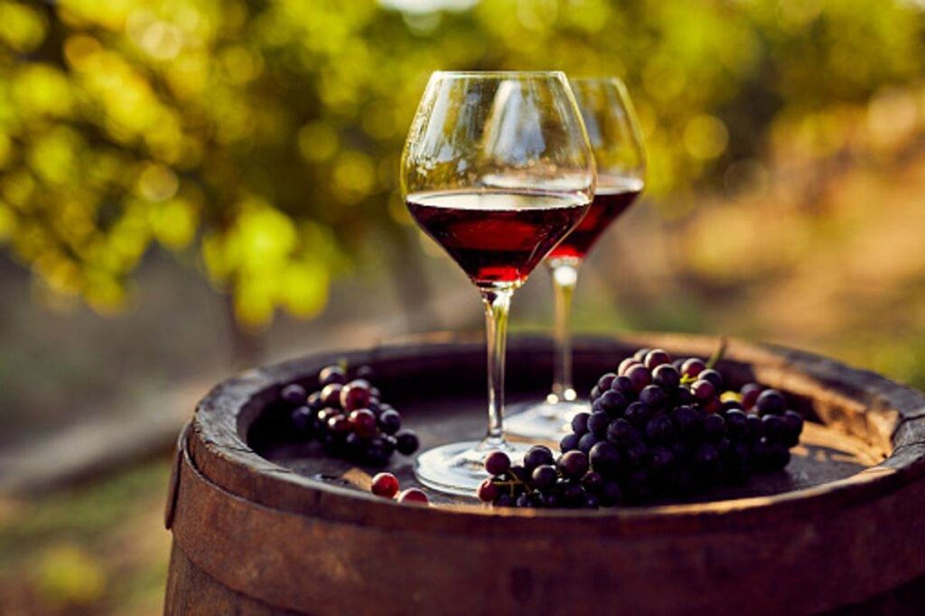 Italian Wines