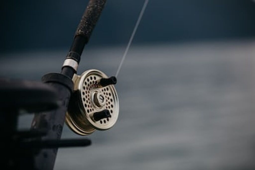 baitcasting reel
