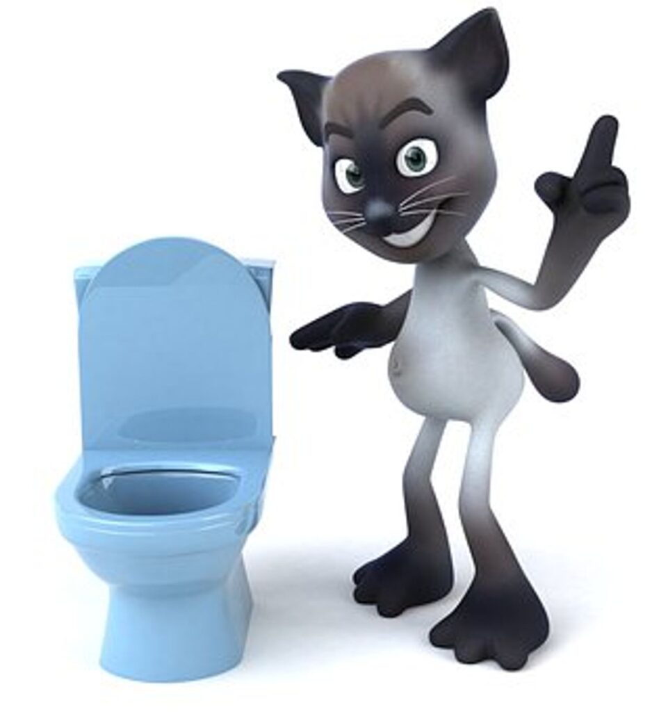 best automatic cat litter box
