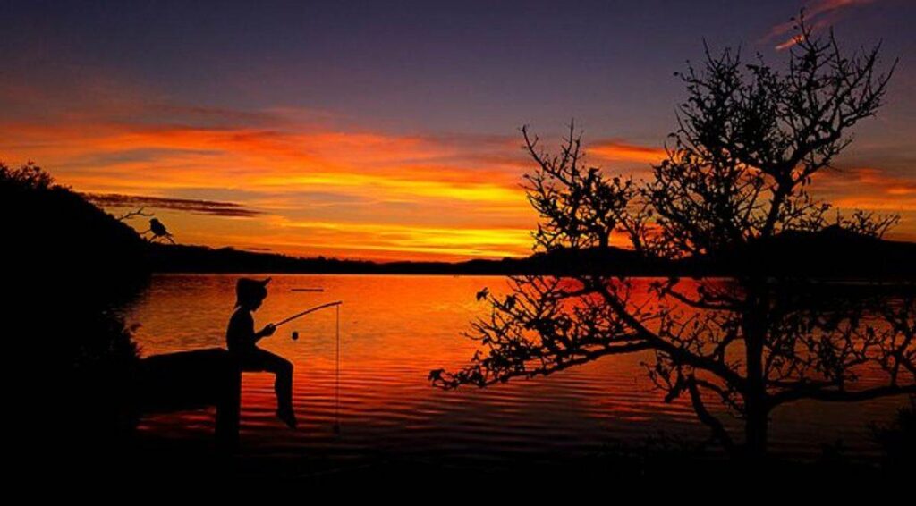 fishing rods