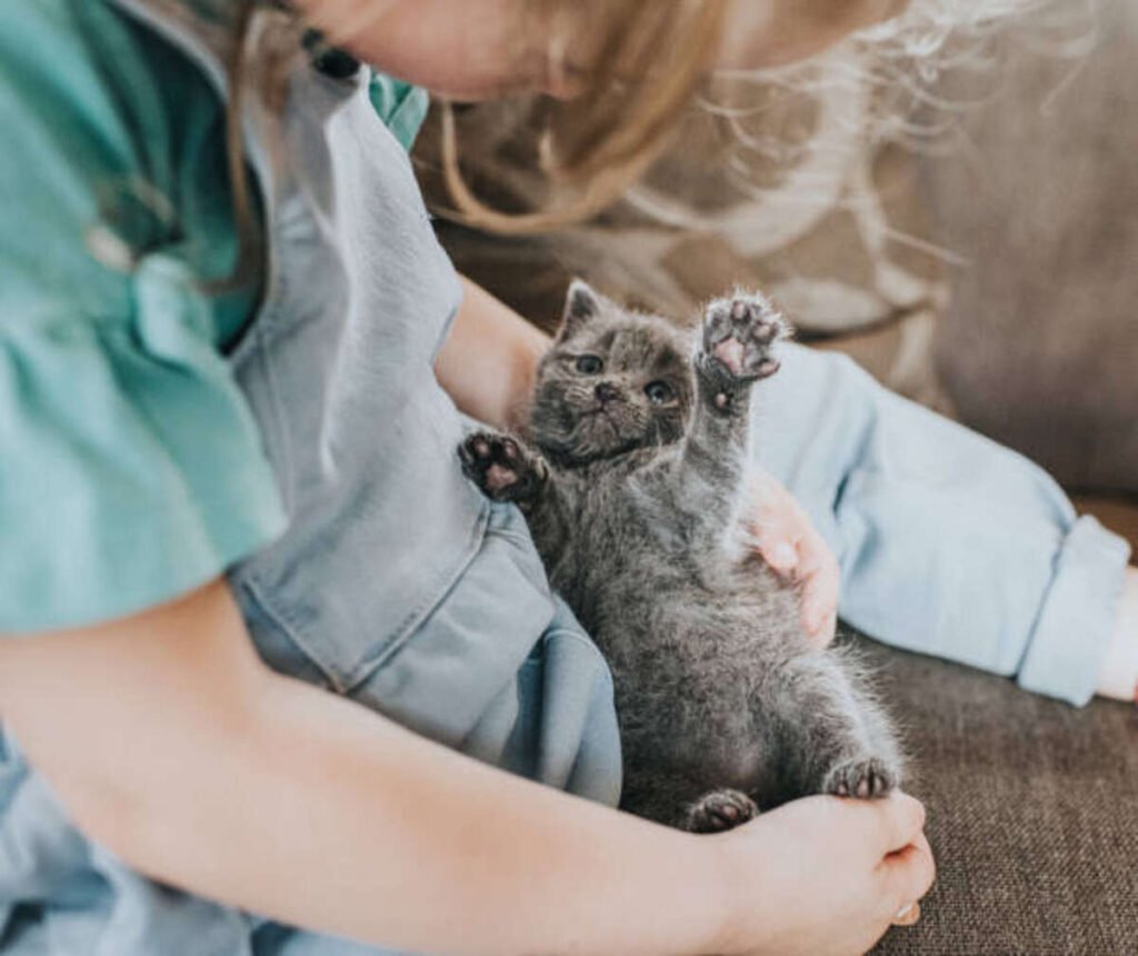 Healthy Pets Insurance Reviews