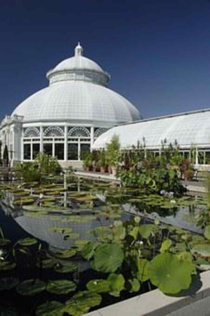 bronx botanical garden