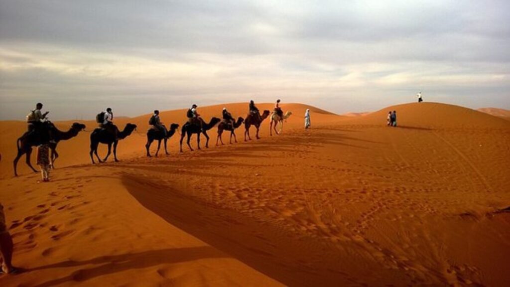desert safari Abu Dhabi