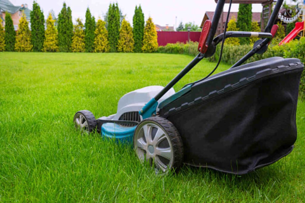 lawn care business flyers
