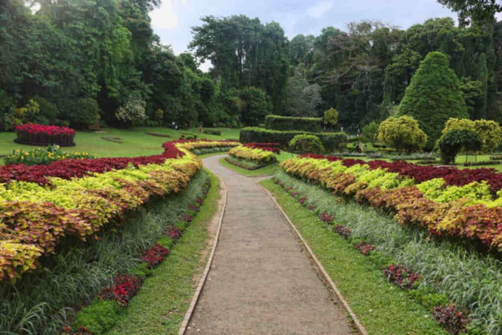peradeniya botanical garden