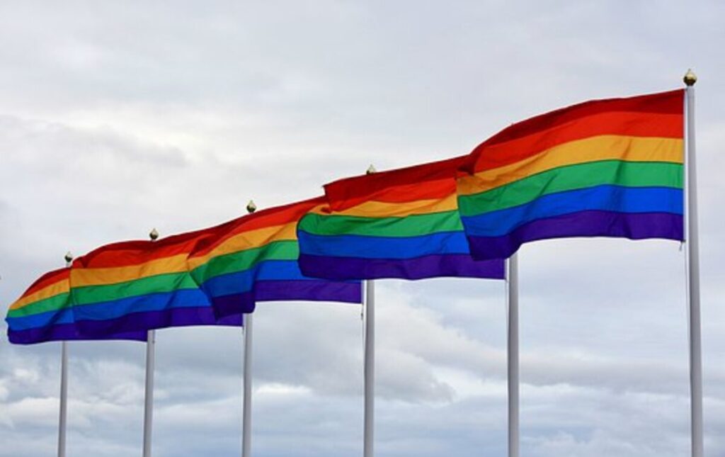 downelink's gay app