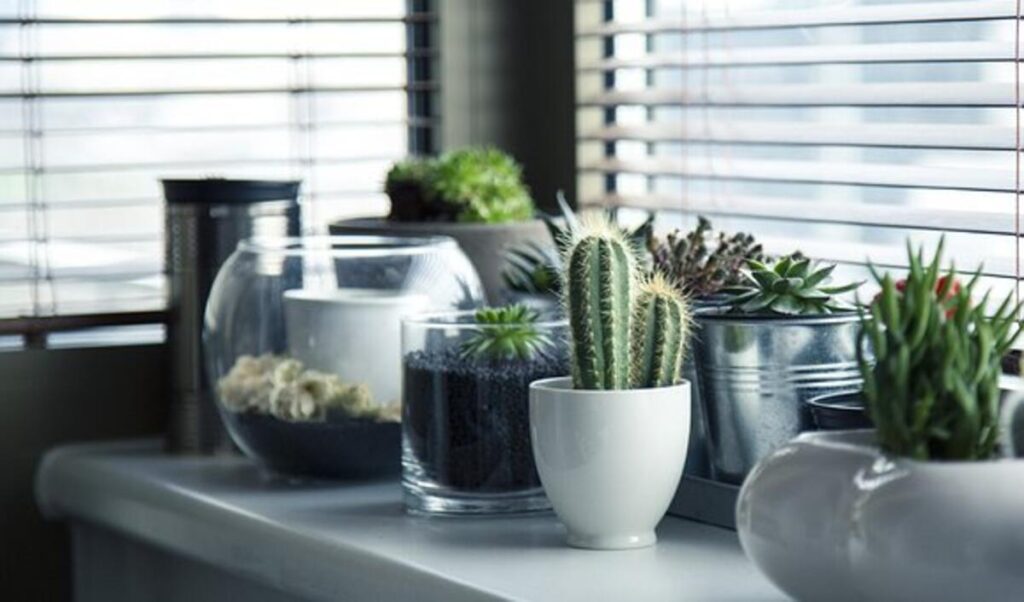 hiline homes reviews
