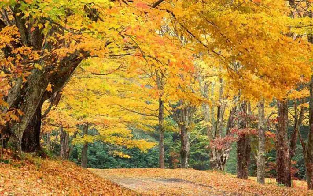 Greensboro, North Carolina