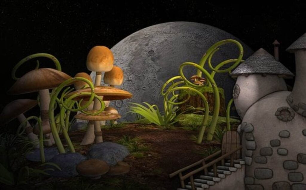 mushroom garden