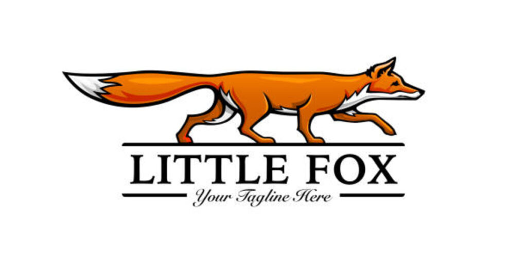 What is Fox business about?