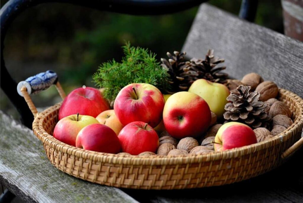Fruit is in Season Right Now
