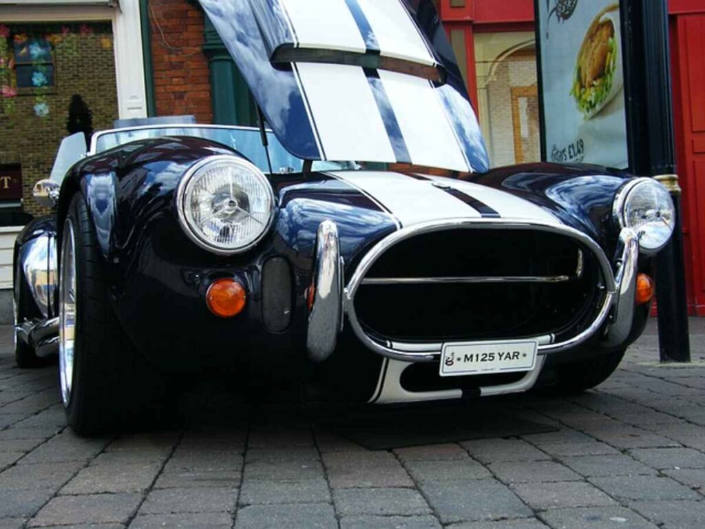 cobra 18985 640