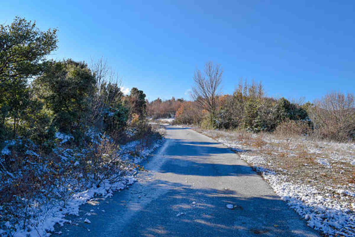 Winter Garden Vineland Rd