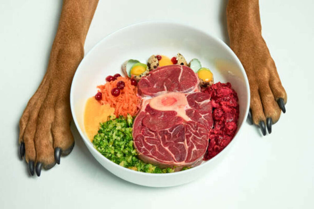 Venison Dog Food