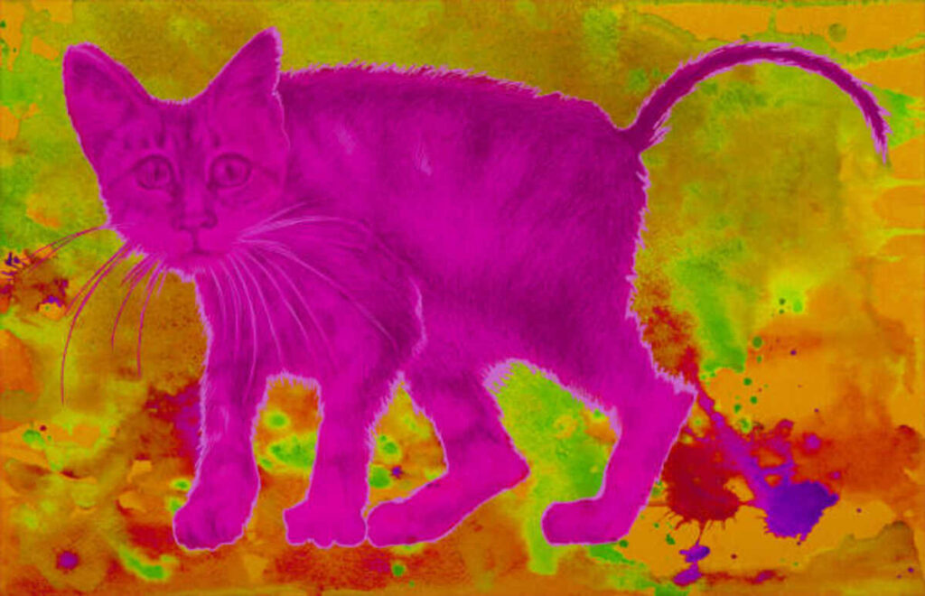 Gifts for cat lovers