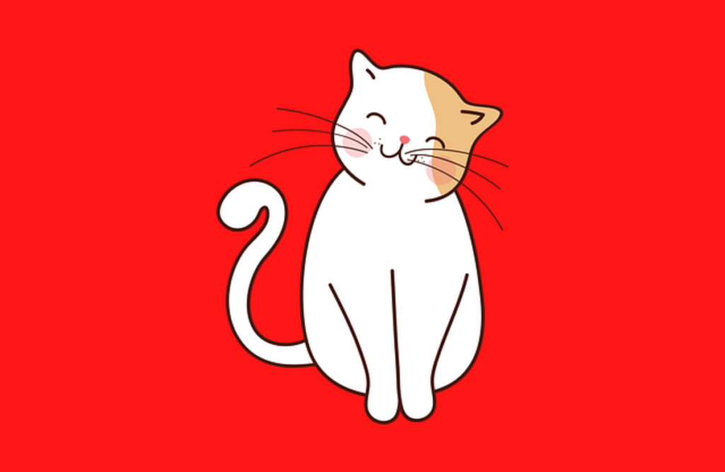 Gifts for cat lovers