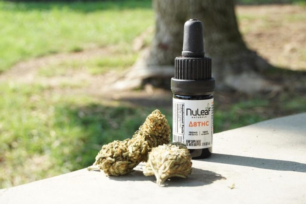Finding Quality THCA Flower
